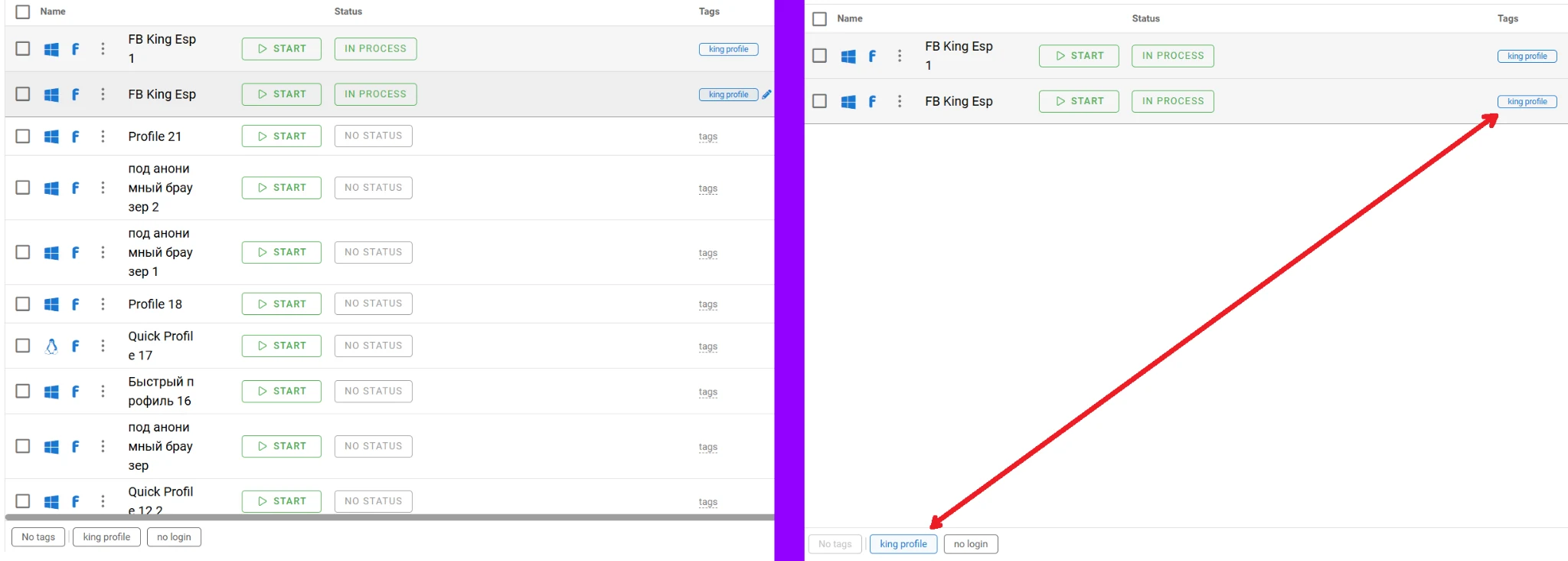 Filtering profiles by tag in Dolphin Anty